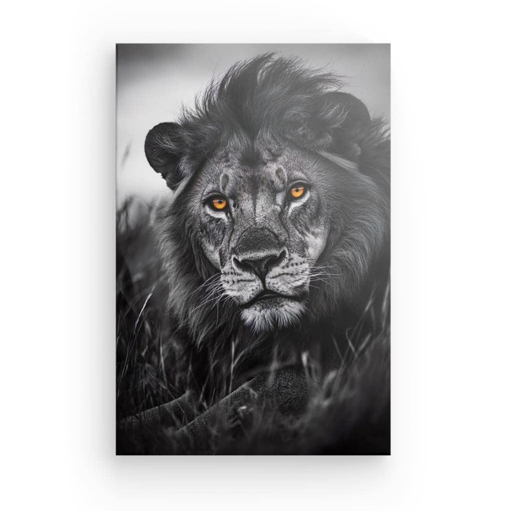 Tableau Lion Regard Sauvage en Noir et Blanc