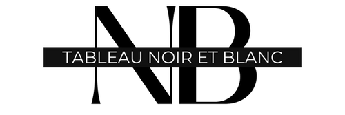 Tableau Visage Abstrait Noir Et Blanc